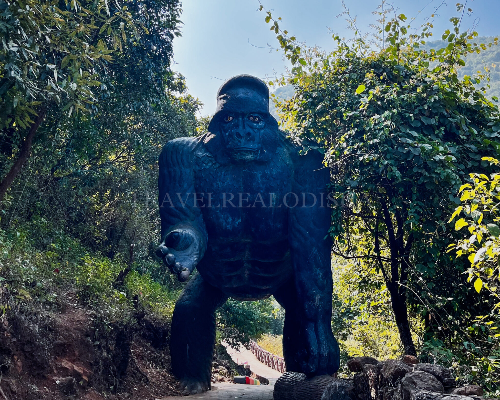 Rani Duduma Waterfall, Nandpur(Koraput)