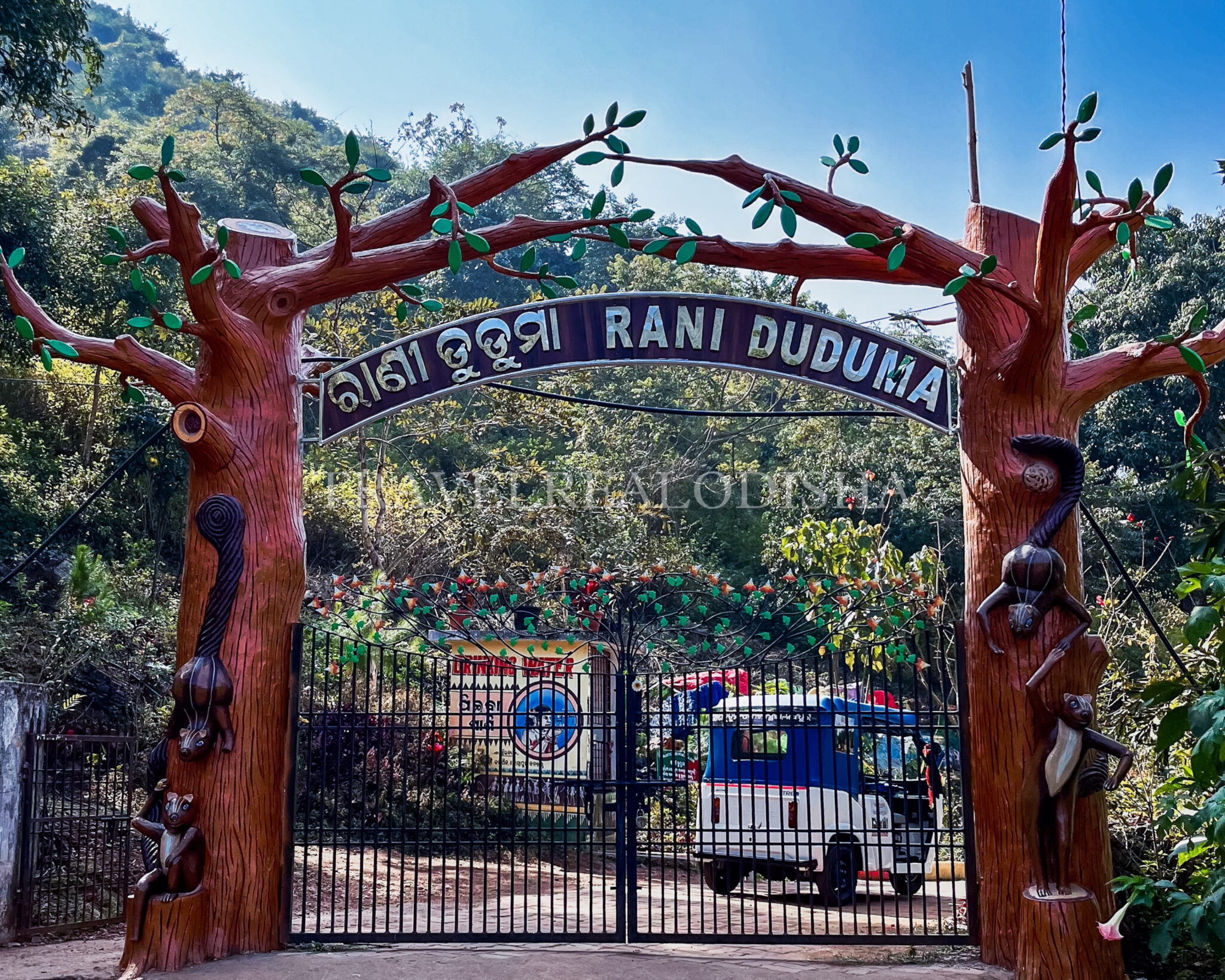 Rani Duduma Waterfall, Nandpur(Koraput)